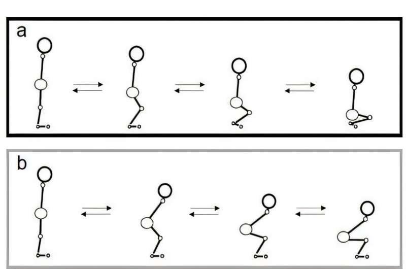 Traditional Japanese samurai daily behavior improves leg strength
